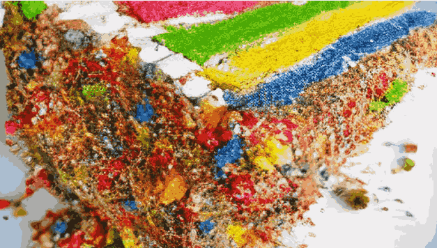 Chef's Choice Cake Slice